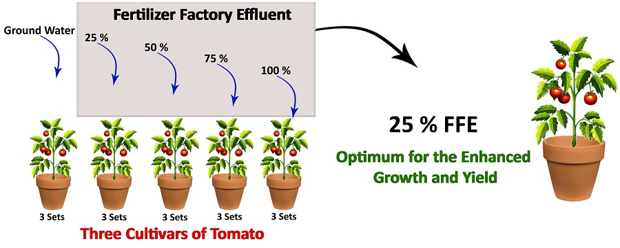 Assessment of biological parameters in tomato cultivars irrigated with fertilizer factory wastes 