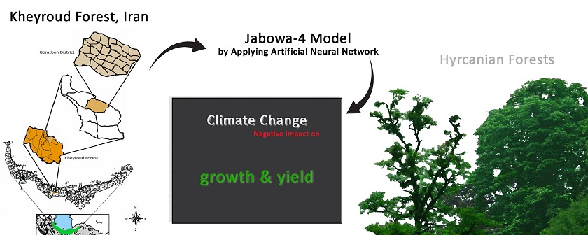Reduction of uncertainty in projection of growth and yield of Hyrcanian trees in Jabowa-4 model by applying artificial neural network (Case study: Kheyroud forest- Nowshahr of Iran) 