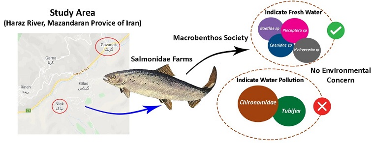 The effect of salmonidae farms on the changes of the macrobenthos society of the Haraz River from Gazanak to Niyak region (Mazandaran Province of Iran) 