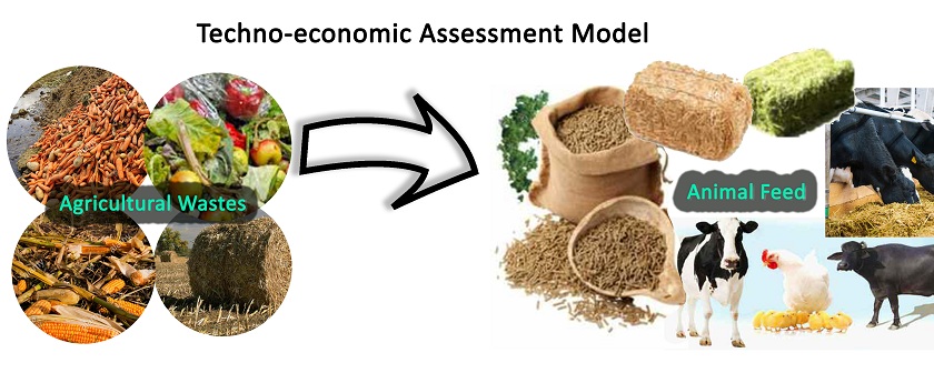 Techno-economic assessment model of screening step of agricultural wastes recycling to animal feed project 